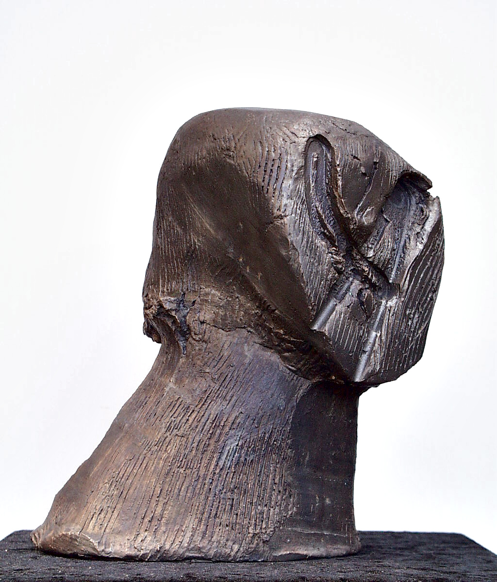 Emotional exercise229